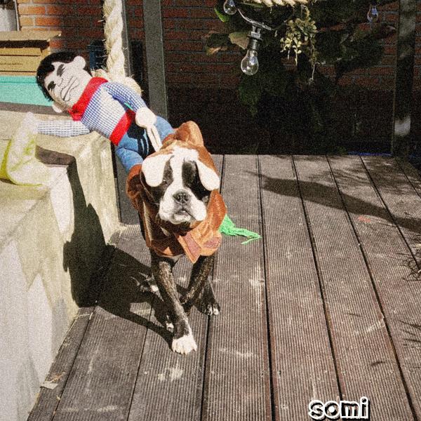 Image Cover